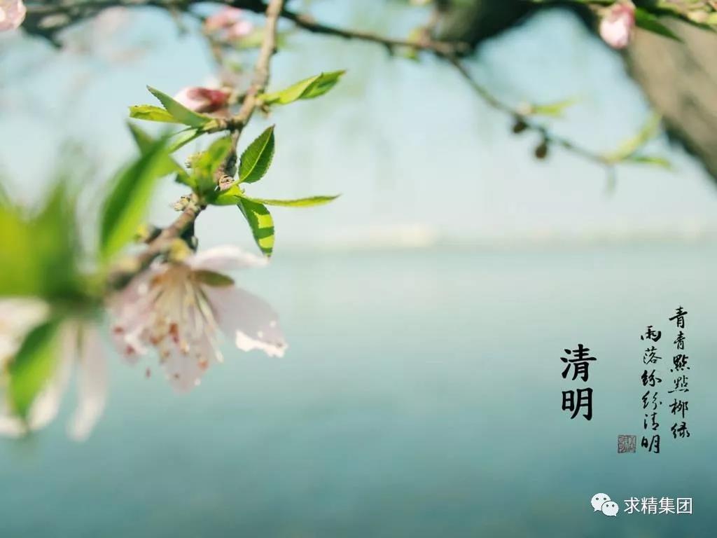 微信图片_20190404164243 微信图片_20190404164243