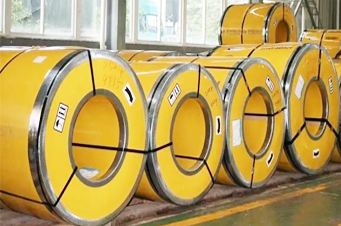 20220809152638_7877 20220809152638_7877